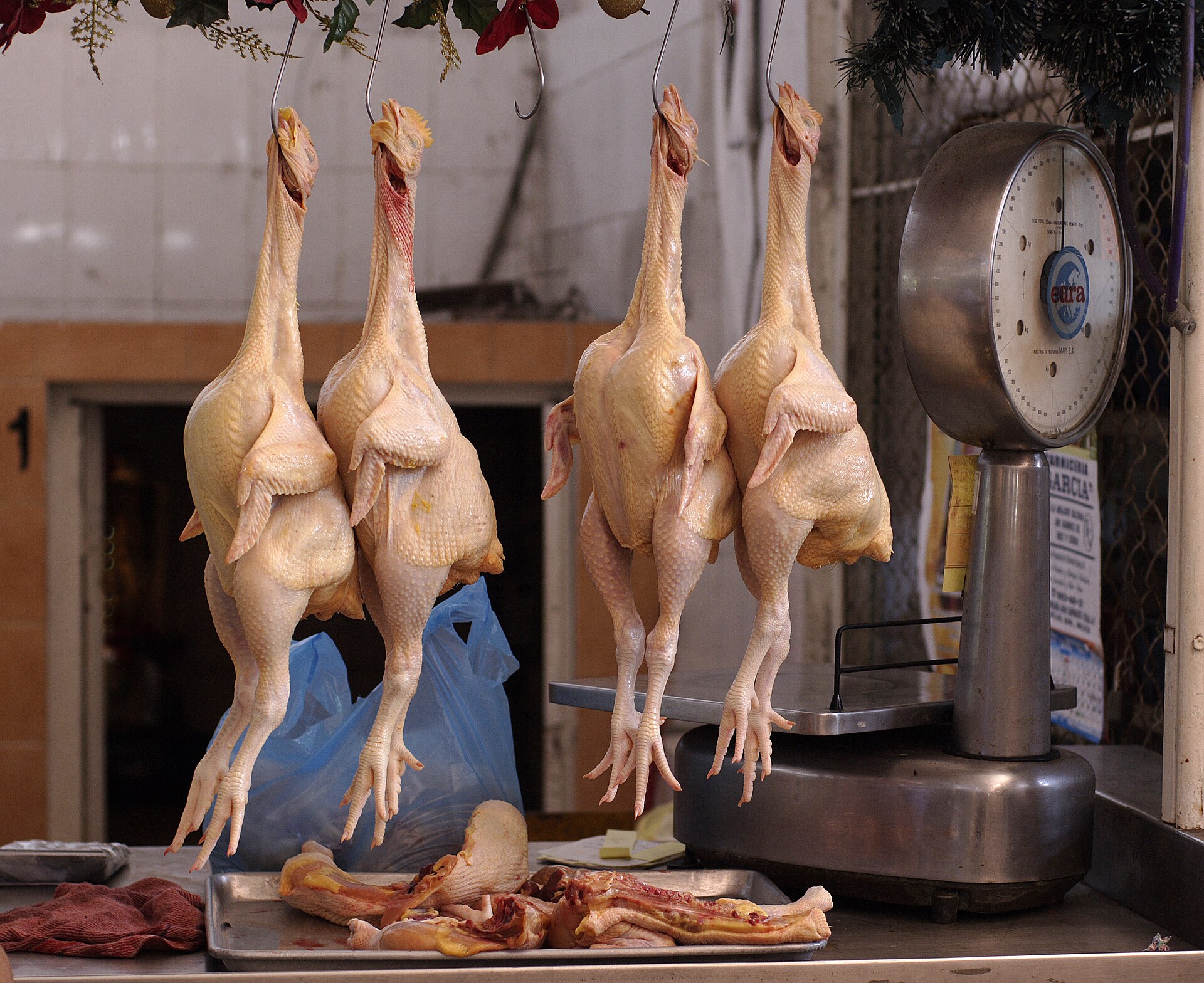 Imagem de referência relacionada a CHICKEN, item descrito como registro de referência sobre CHICKEN, organizado a partir de dados estruturados abertos