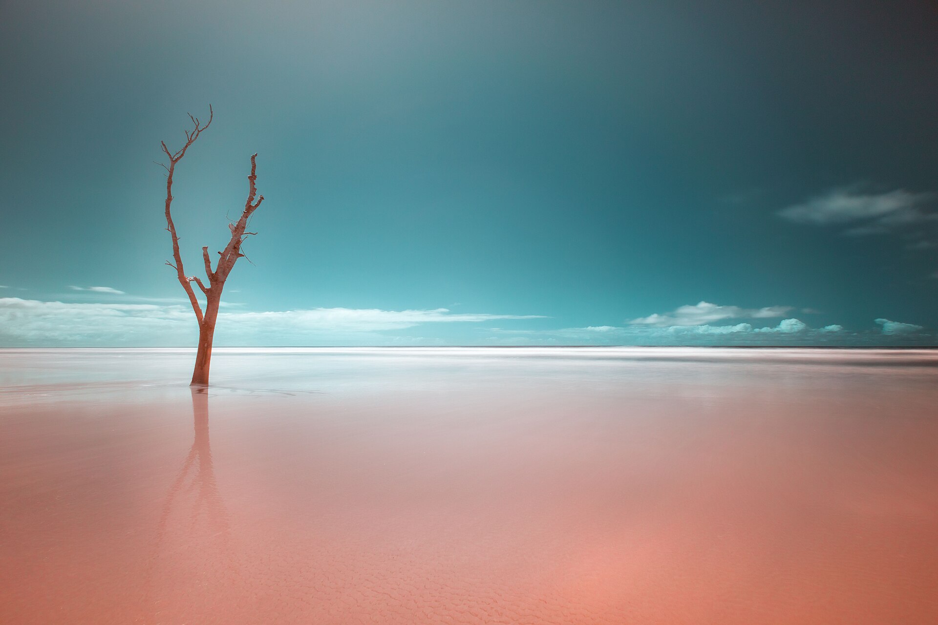 Imagem de referência relacionada a Parque estadual ilha do cardoso-THIAGO CAMPI 02, item descrito como fotografia premiada feita por Thiago Campi feita no Parque Estadual Ilha do Cardoso