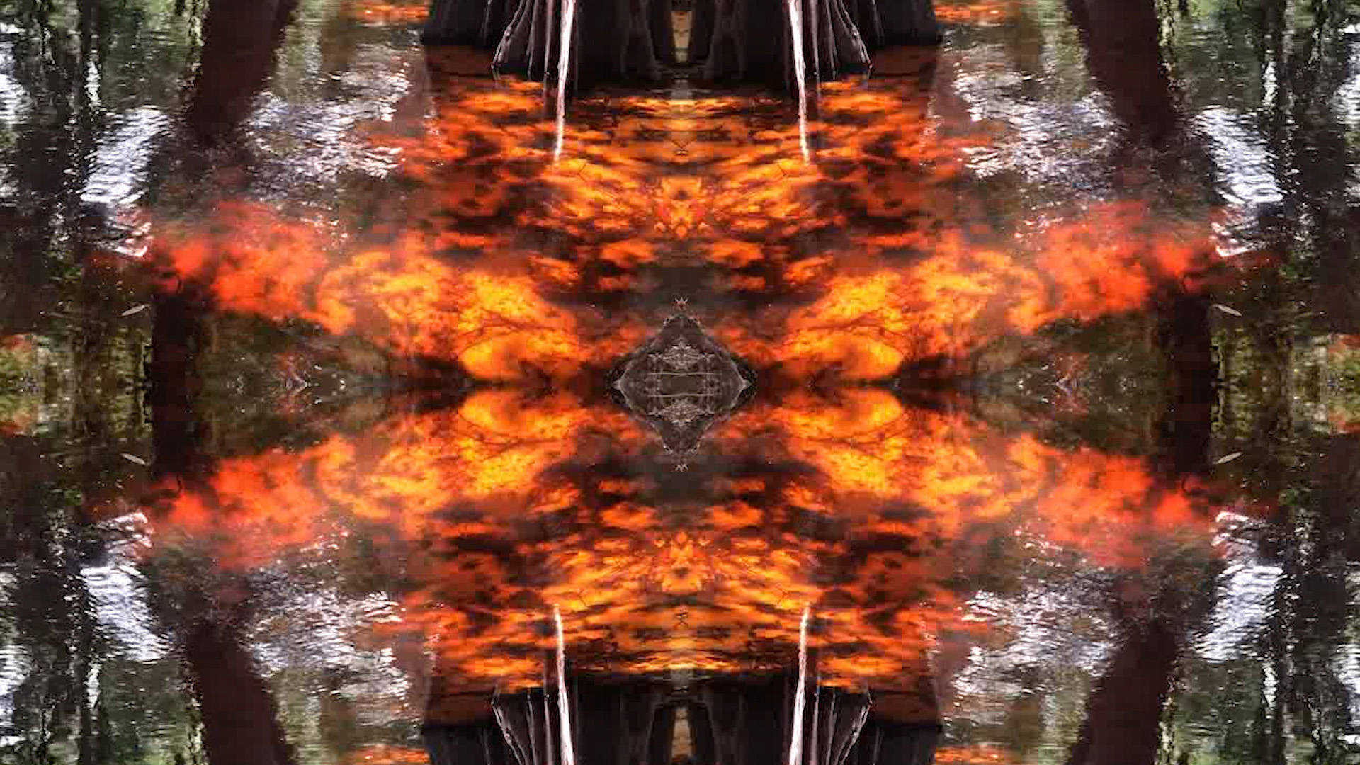 Imagem de referência relacionada a Amazonia Insomnia, item descrito como videoarte de Hugo Fortes
