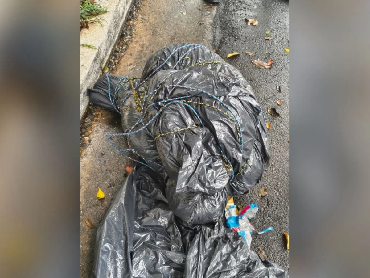 Corpos em sacos de lixo: veja casos ligados à teoria de serial killer