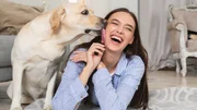 Seu cão dorme de barriga para cima? Entenda o que está por trás do hábito